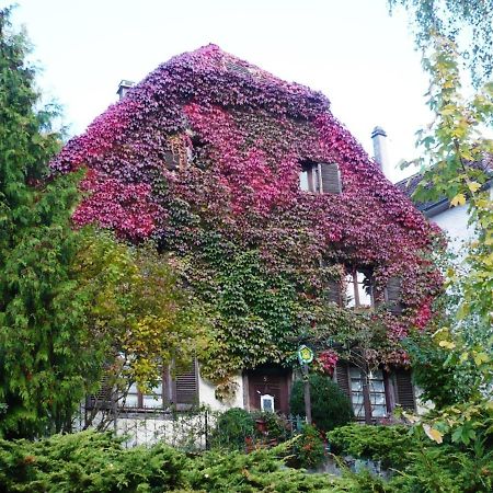B&B De Charme La Maison Des 5 Temps Ferrette Exterior foto