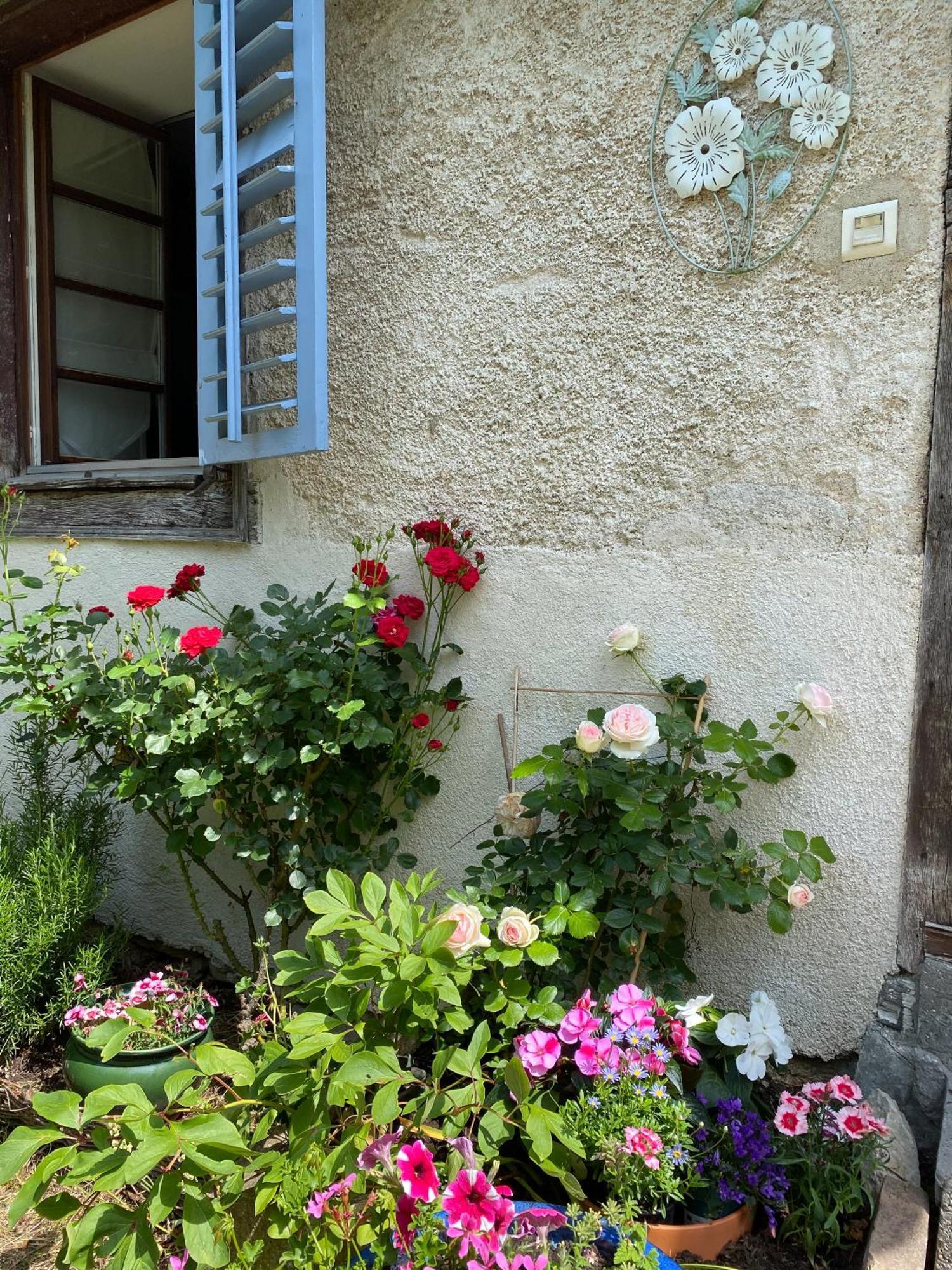B&B De Charme La Maison Des 5 Temps Ferrette Quarto foto